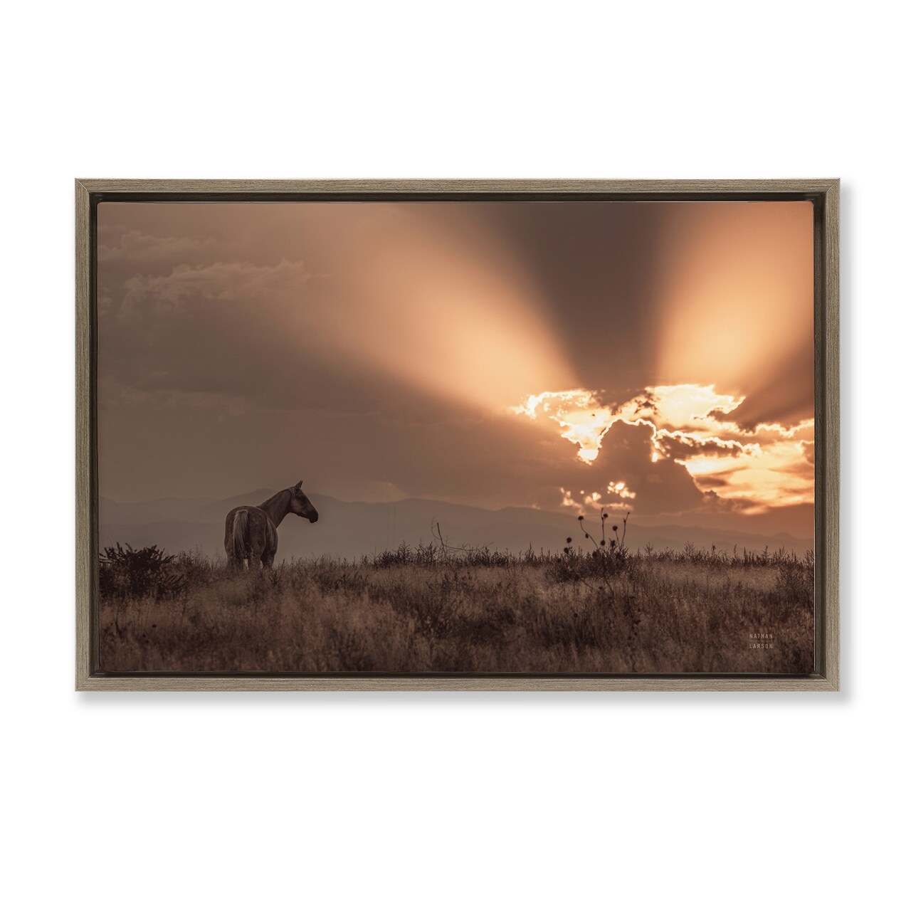 Stupell Industries Faded Sunset with Horse Framed Floater Canvas Wall Art Design by Nathan Larson